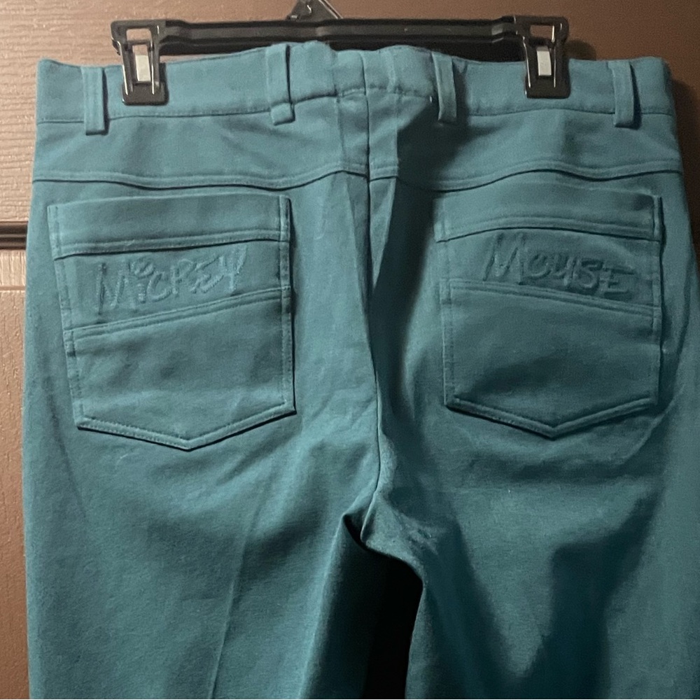 DISNEY Mens Teal Pants Size 34/28